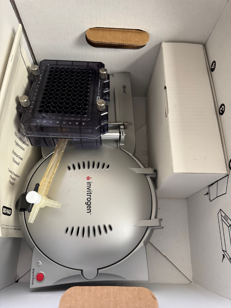 Image of Invitrogen iBlot Western Blot Transfer System